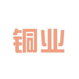 遼寧銅業集團工作環境與職業發展探析